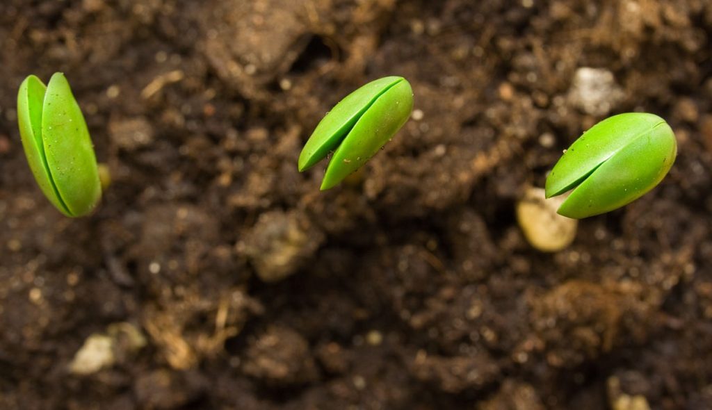 Внесення добрив | ТОВ "ВІКОЛ-АГРО"