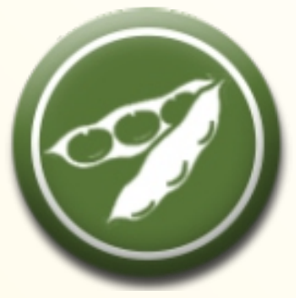 Зображення сої різних сортів - сорт Махоні (Mahoni) від Вікол -агро