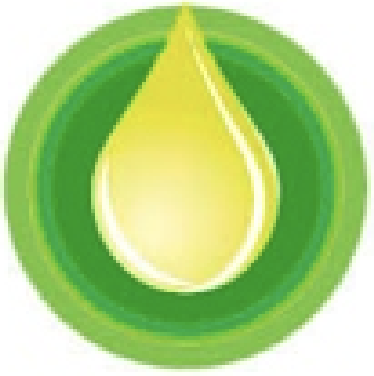 Висока олійність до хвороб середньопізнього сорту сої Максус (Maxus)